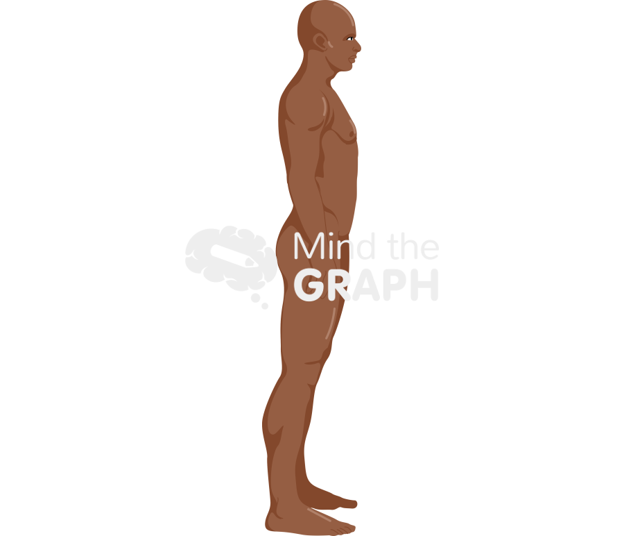 Man anatomic side afro Icons, Symbols, Pictures, and Images