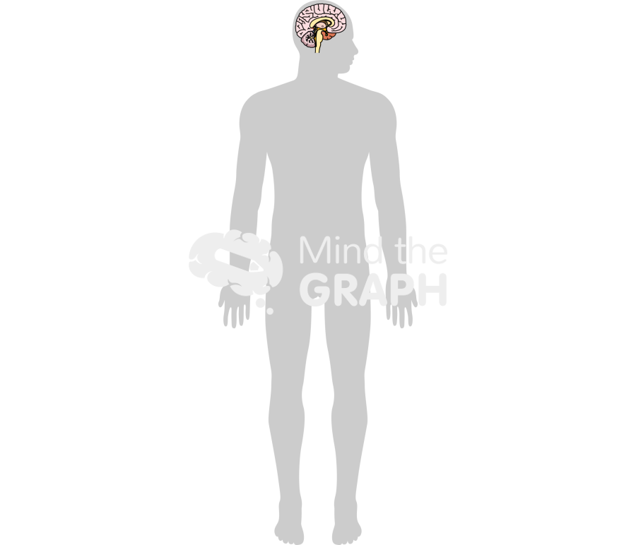 Man brain shape body lateral Icons, Symbols, Pictures, and Images