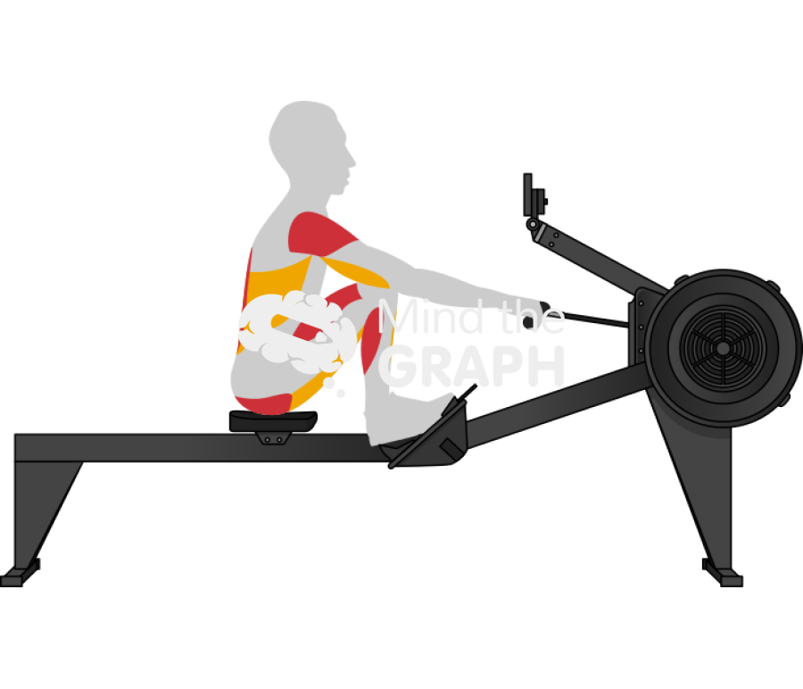 Man catch rowing lateral body Icons, Symbols, Pictures, and Images