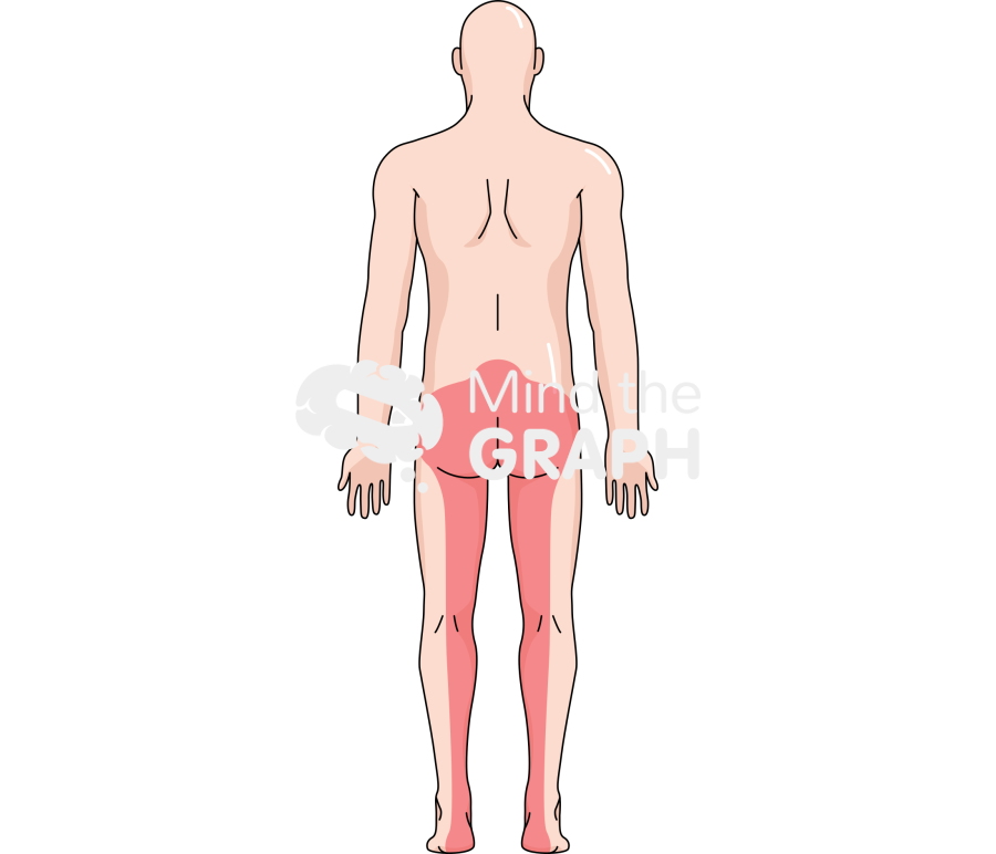 Man caucasian pain area back Icons, Symbols, Pictures, and Images