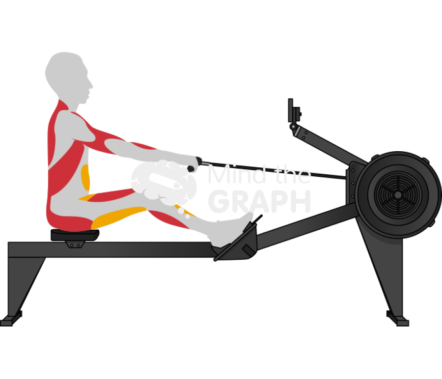 Man drive rowing lateral body Icons, Symbols, Pictures, and Images