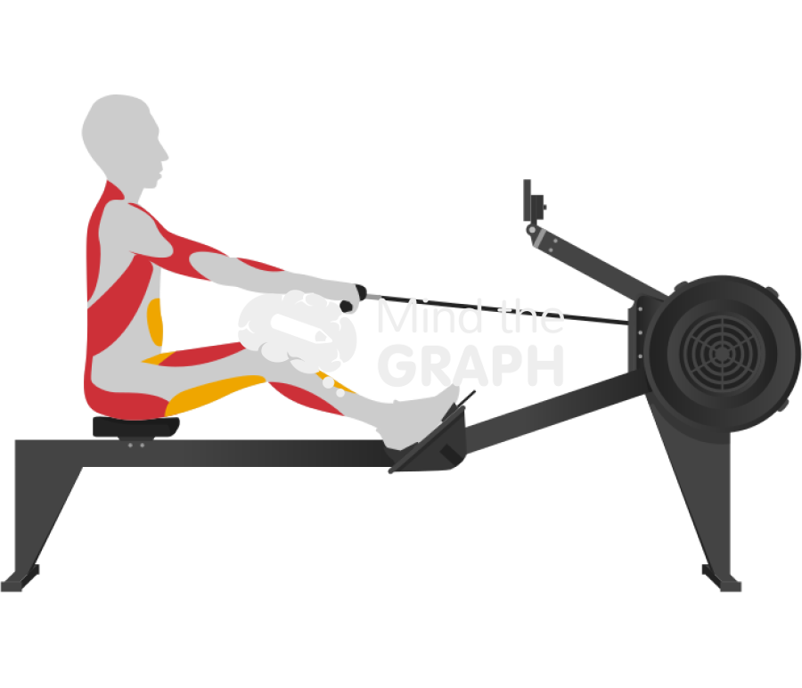 Man drive rowing lateral body Icons, Symbols, Pictures, and Images