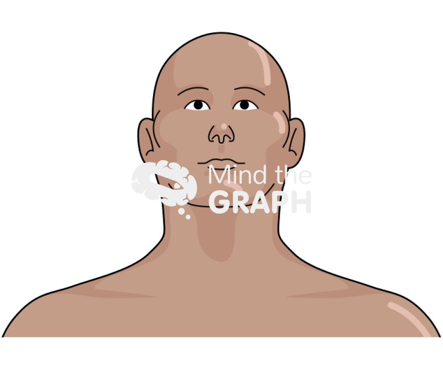 Man head front tanned Icons, Symbols, Pictures, and Images