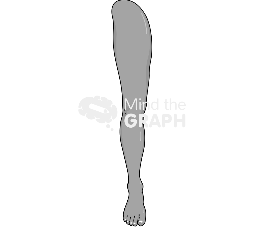 Man leg front tanned Icons, Symbols, Pictures, and Images