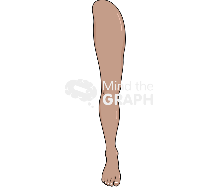 Man leg front tanned Icons, Symbols, Pictures, and Images