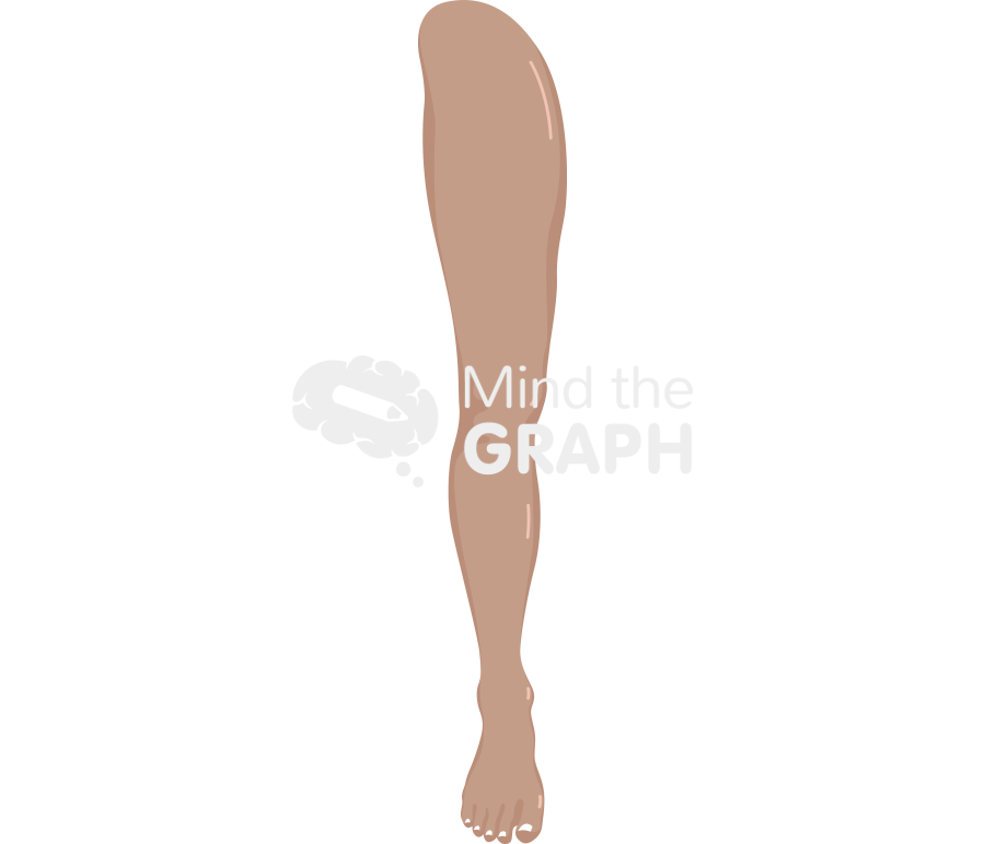 Man leg front tanned Icons, Symbols, Pictures, and Images