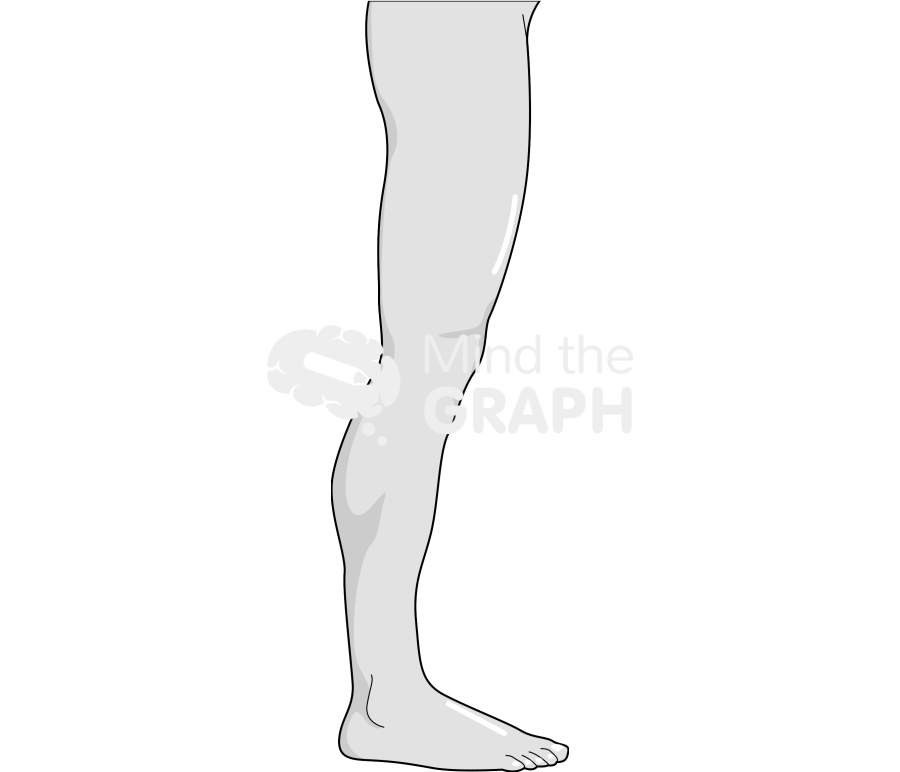 Man leg side caucasian asiatic Icons, Symbols, Pictures, and Images