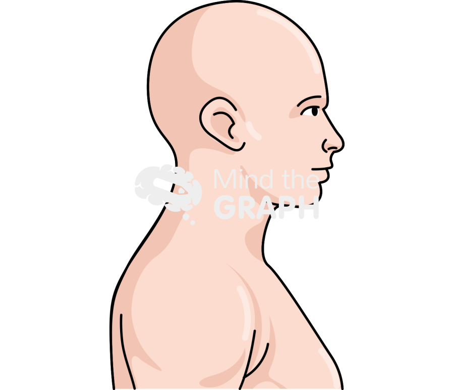 Man neutral head position lateral Icons, Symbols, Pictures, and Images