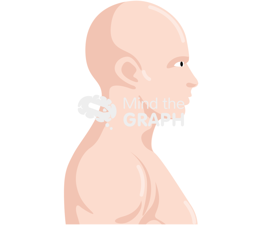 Man neutral head position lateral Icons, Symbols, Pictures, and Images