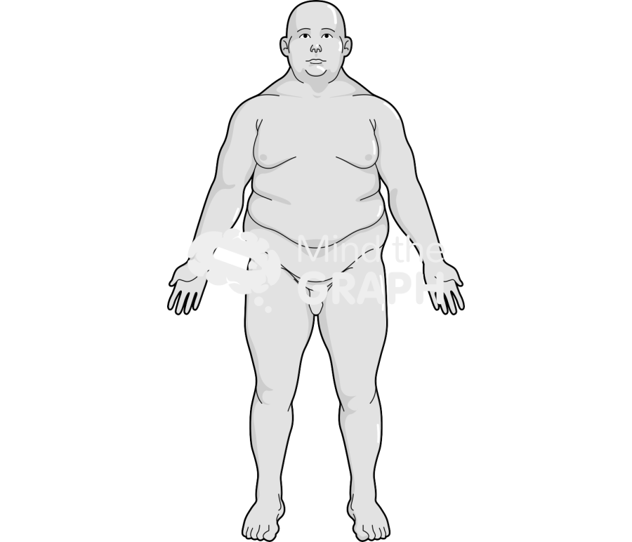 Man obese anatomic front caucasian Icons, Symbols, Pictures, and Images