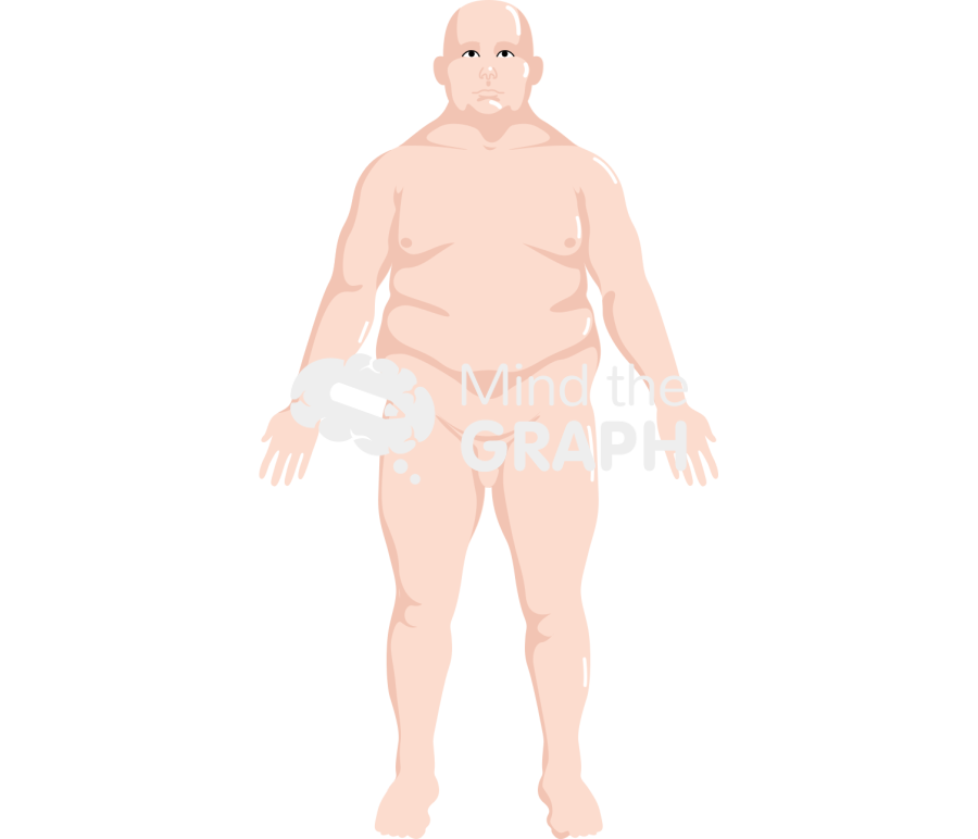 Man obese anatomic front caucasian Icons, Symbols, Pictures, and Images