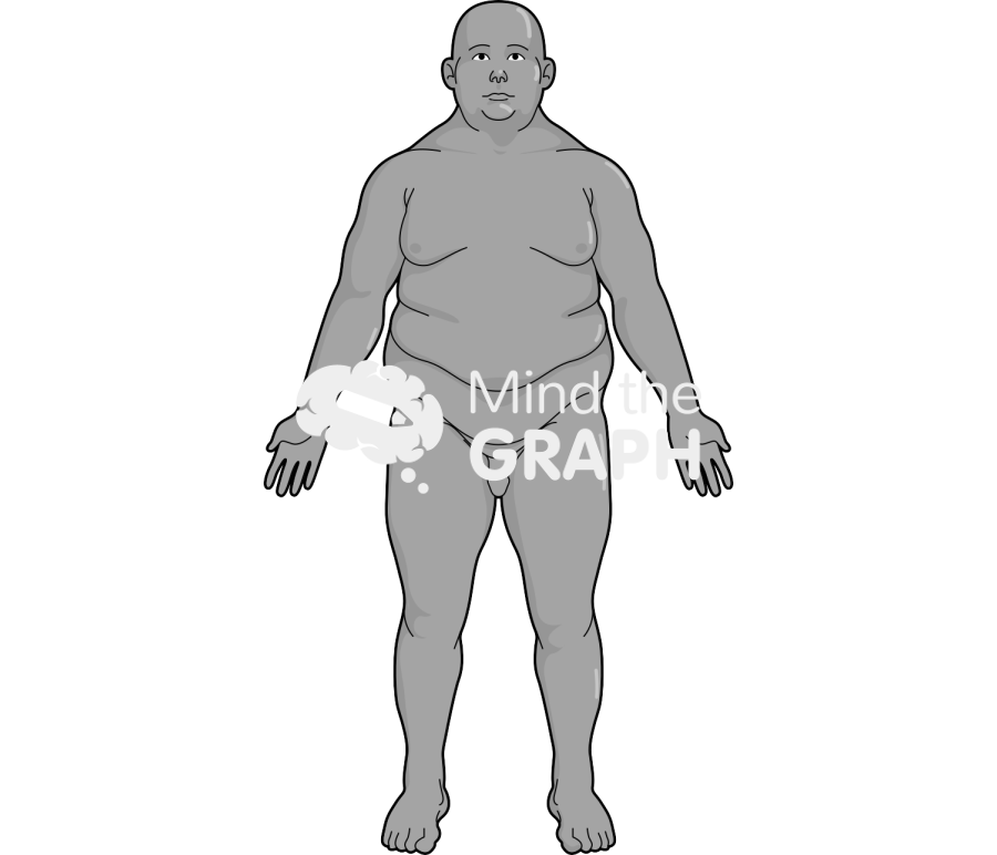 Man obese anatomic front tanned Icons, Symbols, Pictures, and Images