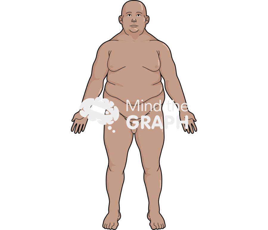 Man obese anatomic front tanned Icons, Symbols, Pictures, and Images