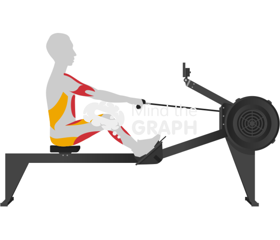 Man recovery rowing lateral body Icons, Symbols, Pictures, and Images