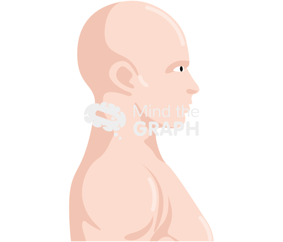 Man retraction head position lateral Icons, Symbols, Pictures, and Images