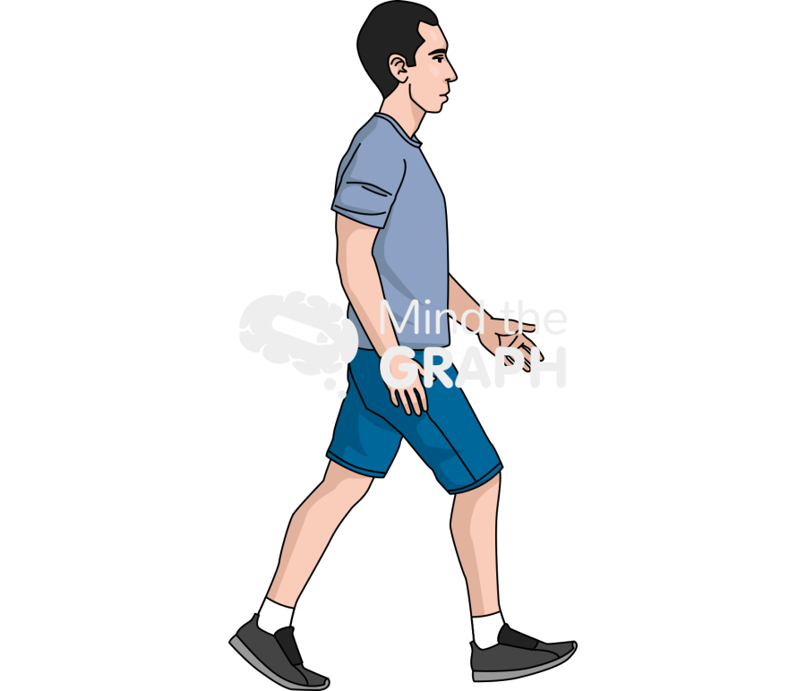 Man toe off walking lateral Icons, Symbols, Pictures, and Images