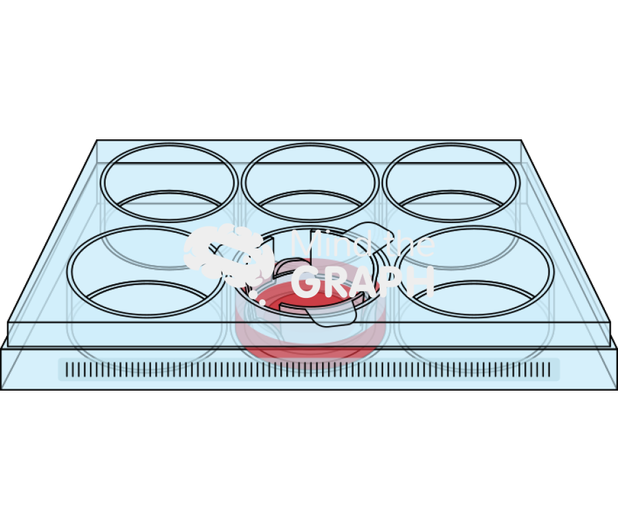 Manchester biogel in well plate 2 perspective Icons, Symbols, Pictures, and Images