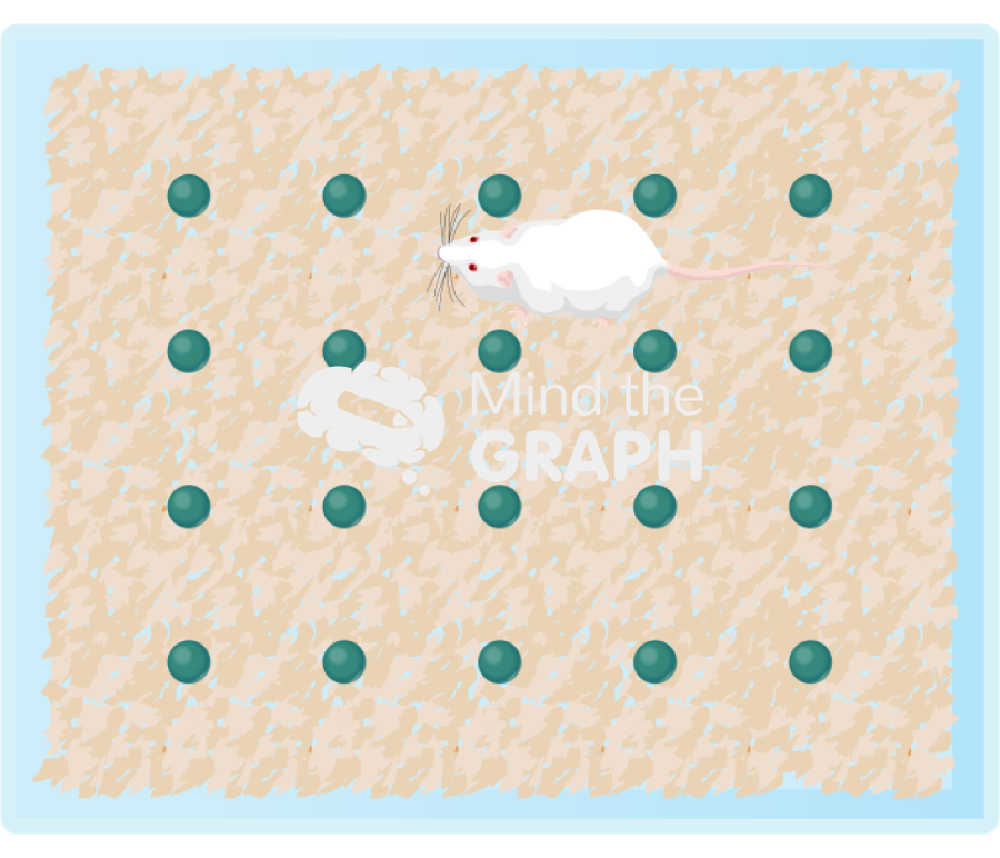 Marble burying mouse test Icons, Symbols, Pictures, and Images