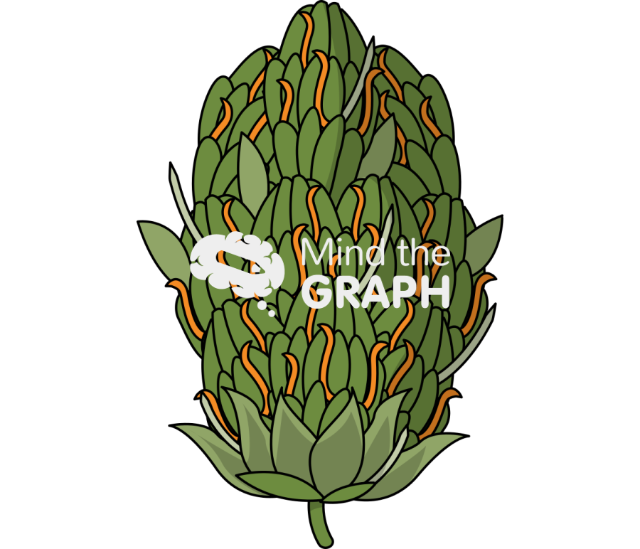 Marijuana bud front Icons, Symbols, Pictures, and Images