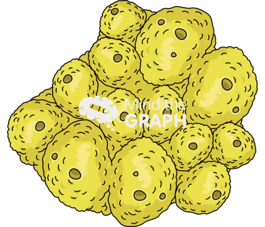 Marine sponge Icons, Symbols, Pictures, and Images