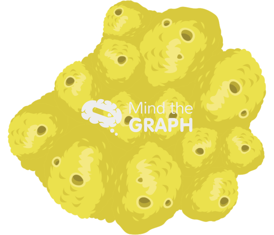 Marine sponge Icons, Symbols, Pictures, and Images