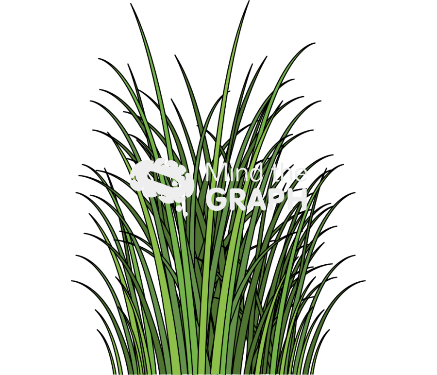 Marshland large Icons, Symbols, Pictures, and Images