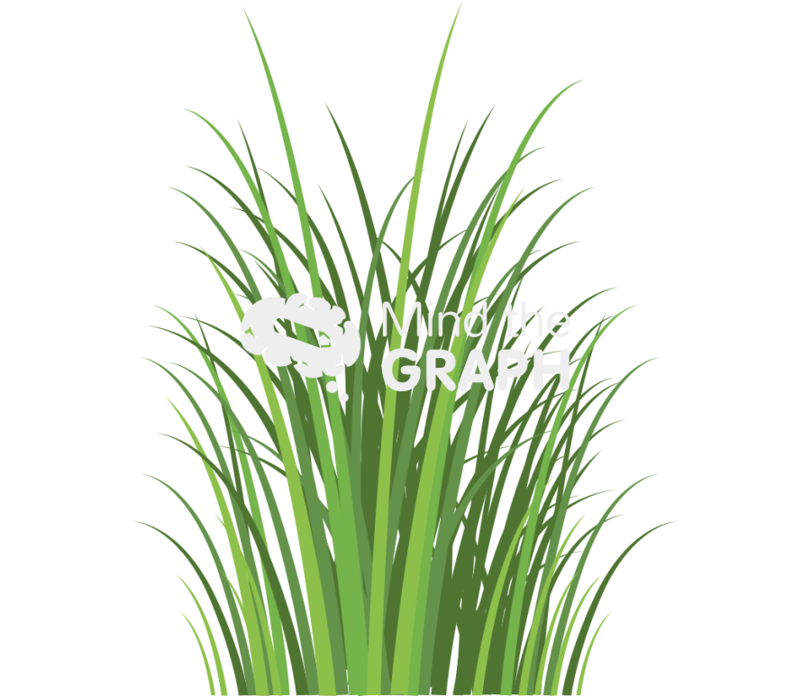 Marshland large Icons, Symbols, Pictures, and Images