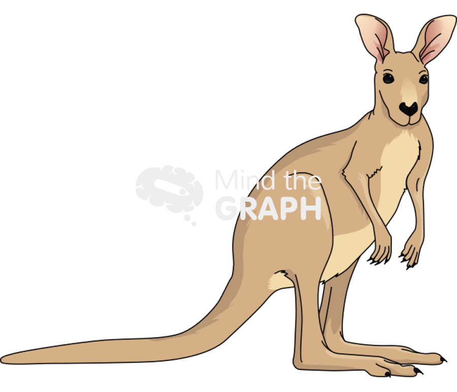 Marsupialis kangaroo Icons, Symbols, Pictures, and Images