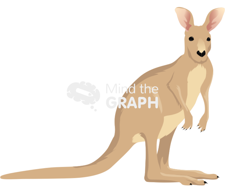 Marsupialis kangaroo Icons, Symbols, Pictures, and Images