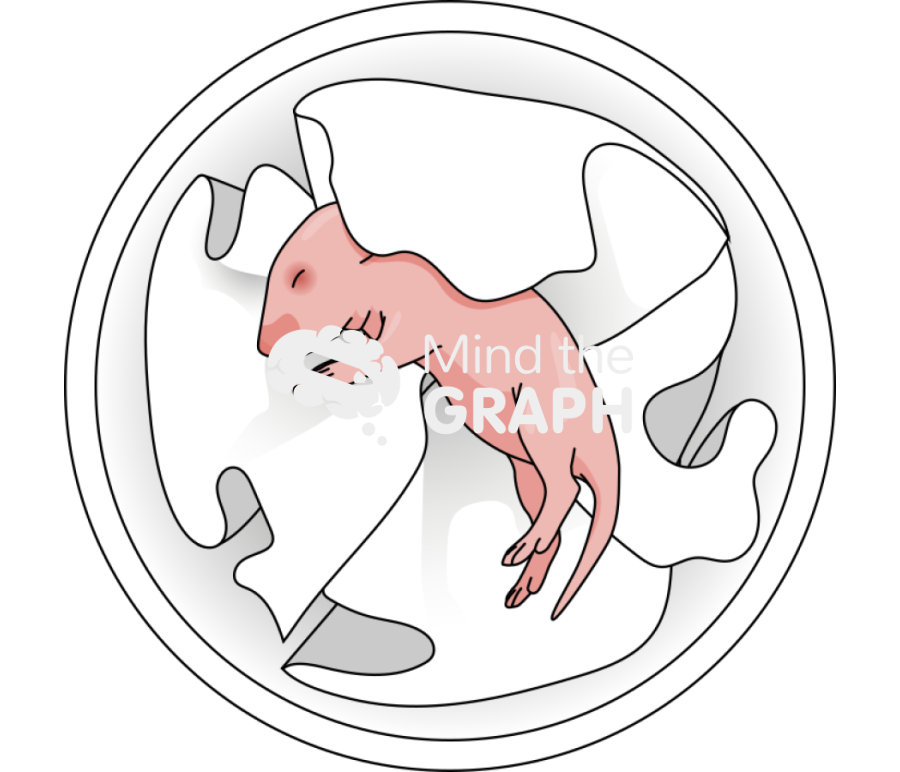 Maternal separation model superior Icons, Symbols, Pictures, and Images