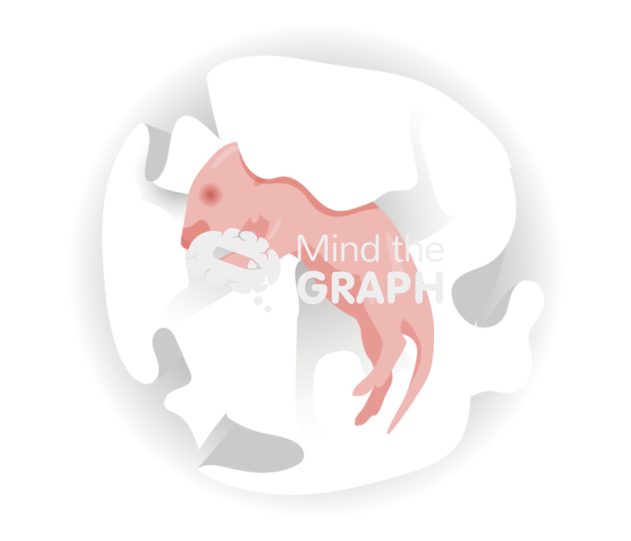 Maternal separation model superior Icons, Symbols, Pictures, and Images