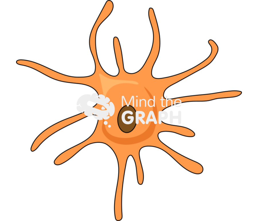 Melanocyte cell 2 Icons, Symbols, Pictures, and Images