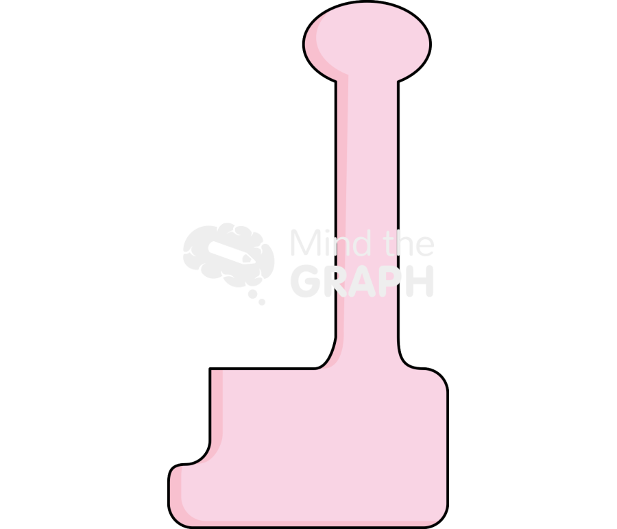 Membran bound enzyme Icons, Symbols, Pictures, and Images