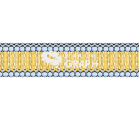 Membrane 1 complex Icons, Symbols, Pictures, and Images