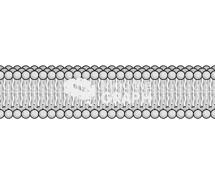 Membrane 1 complex Icons, Symbols, Pictures, and Images