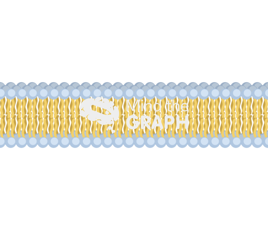 Membrane 1 complex Icons, Symbols, Pictures, and Images