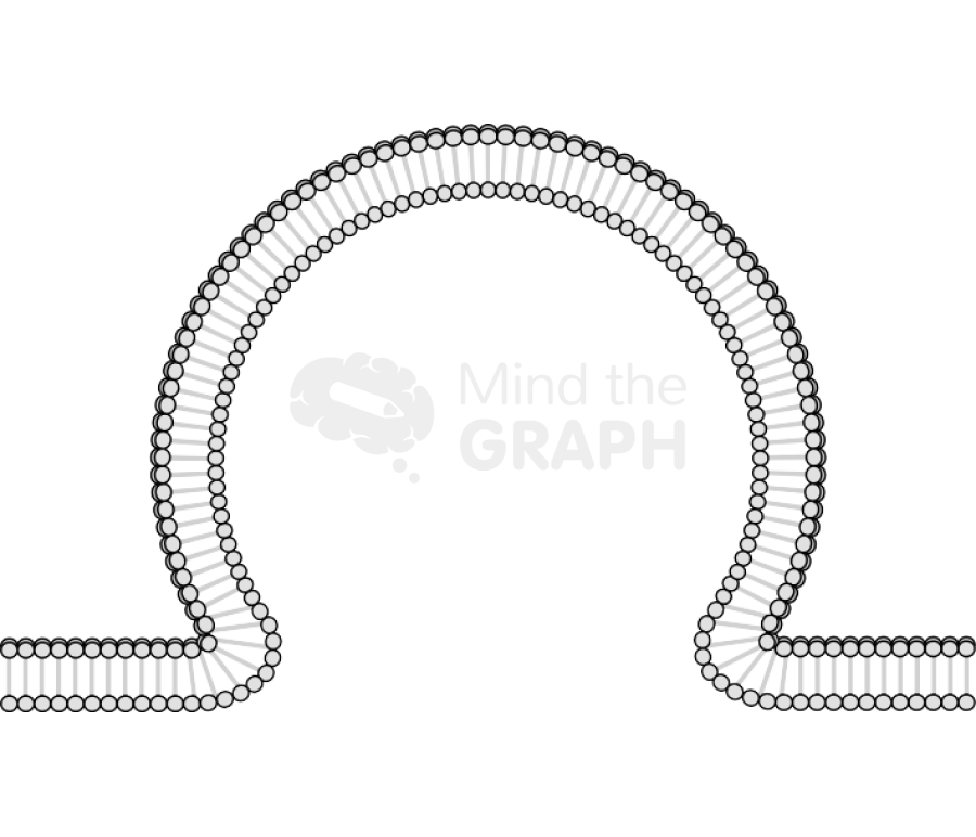 Membrane 3 Icons, Symbols, Pictures, and Images