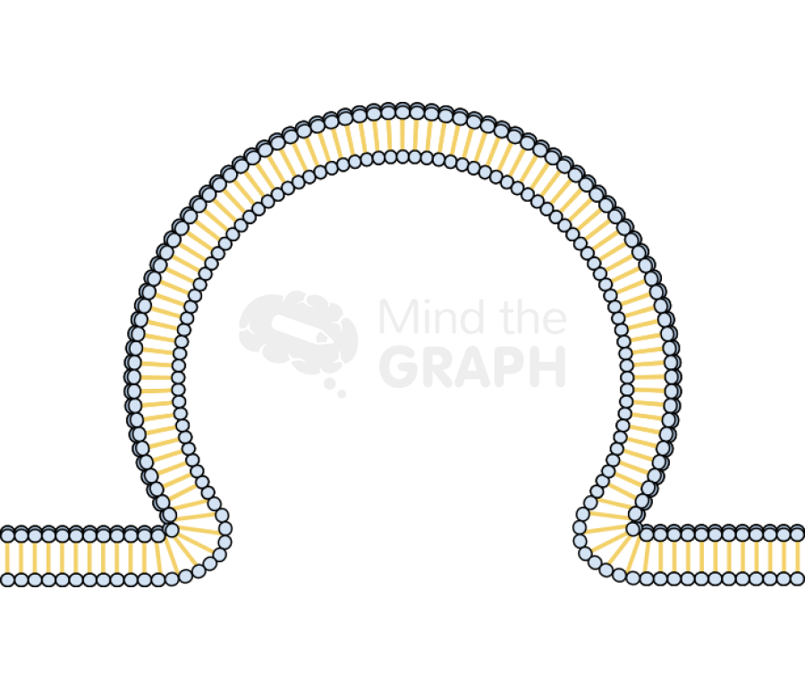 Membrane 3 Icons, Symbols, Pictures, and Images