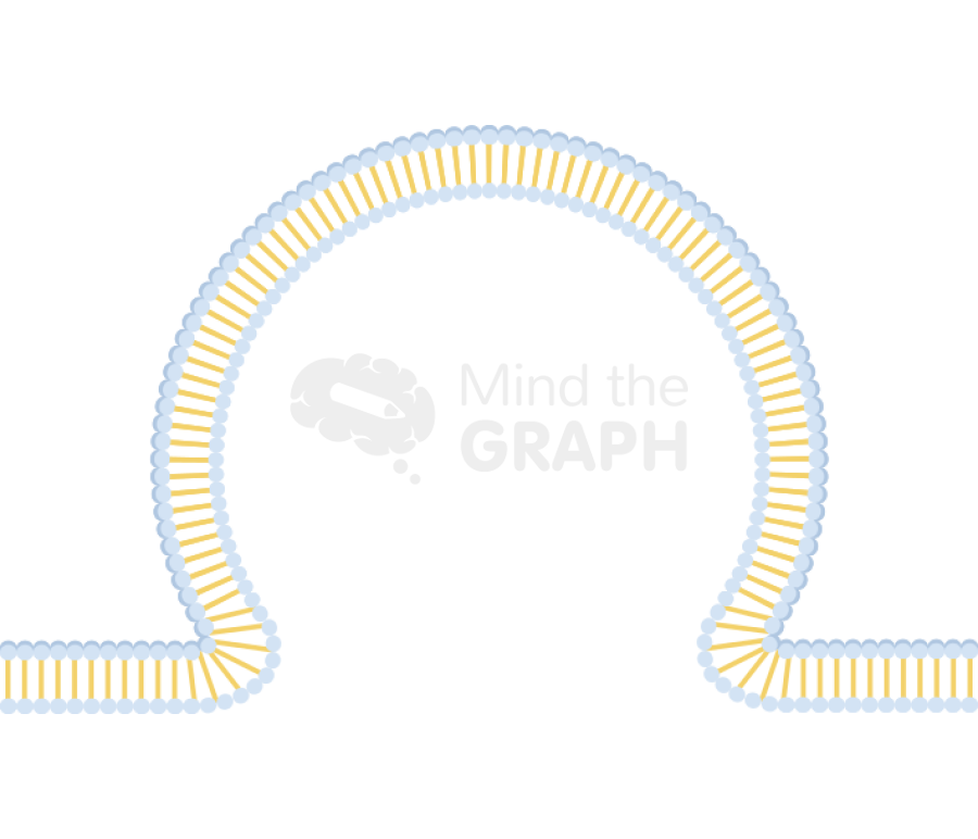 Membrane 3 Icons, Symbols, Pictures, and Images