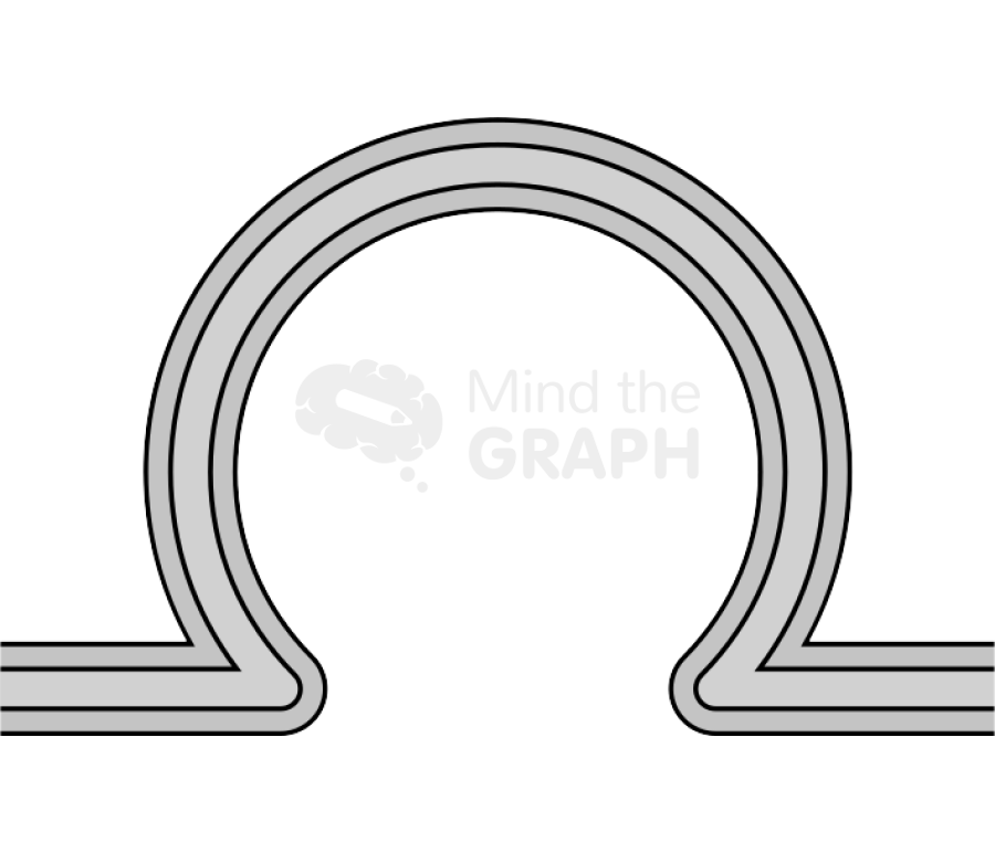 Membrane 3 simple Icons, Symbols, Pictures, and Images