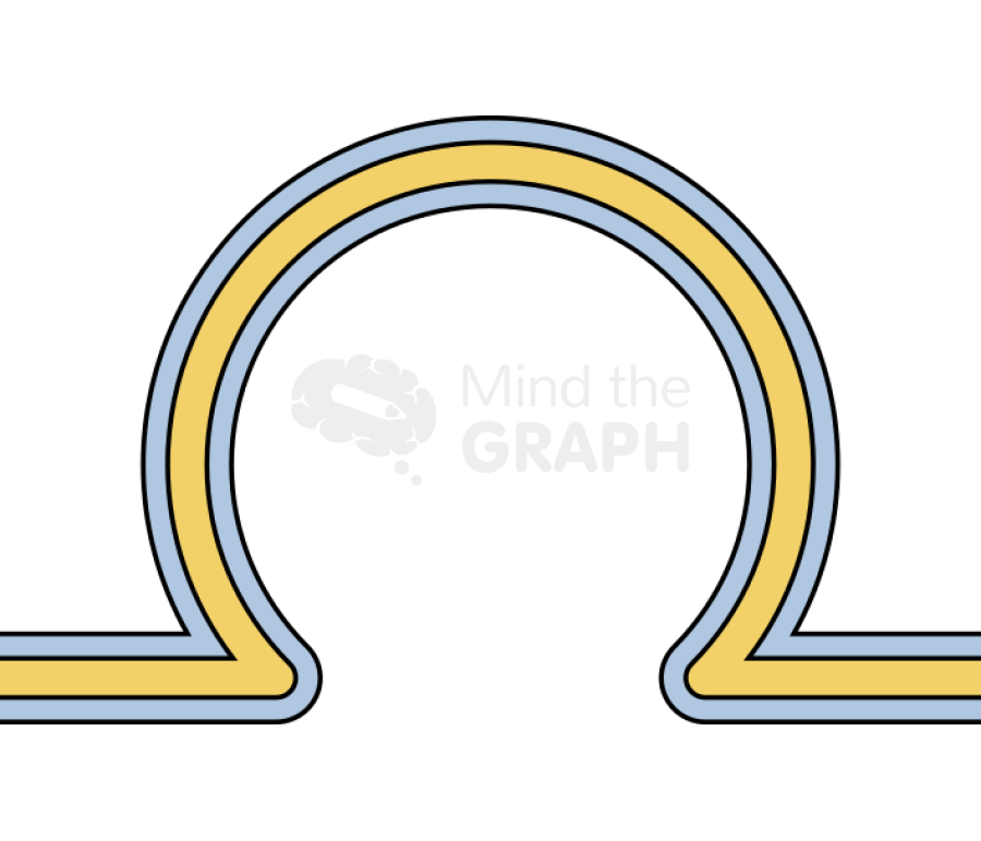 Membrane 3 simple Icons, Symbols, Pictures, and Images