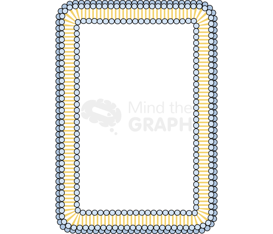 Membrane 4 Icons, Symbols, Pictures, and Images