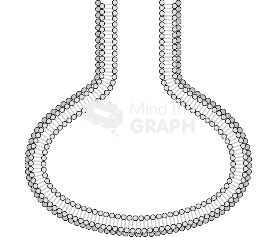 Membrane 5 Icons, Symbols, Pictures, and Images