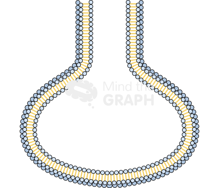 Membrane 5 Icons, Symbols, Pictures, and Images