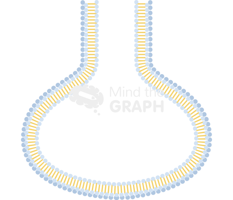 Membrane 5 Icons, Symbols, Pictures, and Images