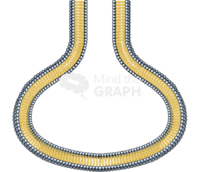 Membrane 5 complex Icons, Symbols, Pictures, and Images
