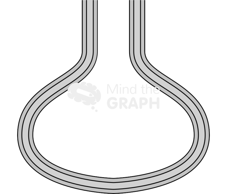 Membrane 5 simple Icons, Symbols, Pictures, and Images