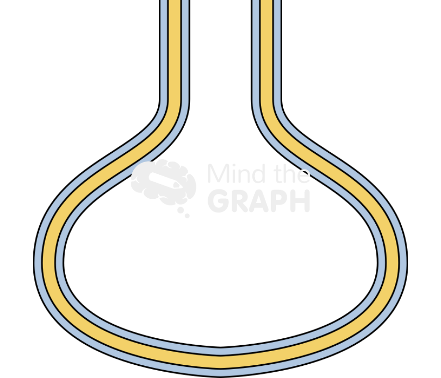 Membrane 5 simple Icons, Symbols, Pictures, and Images