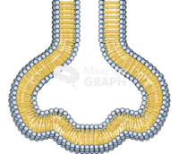 Membrane 6 complex Icons, Symbols, Pictures, and Images