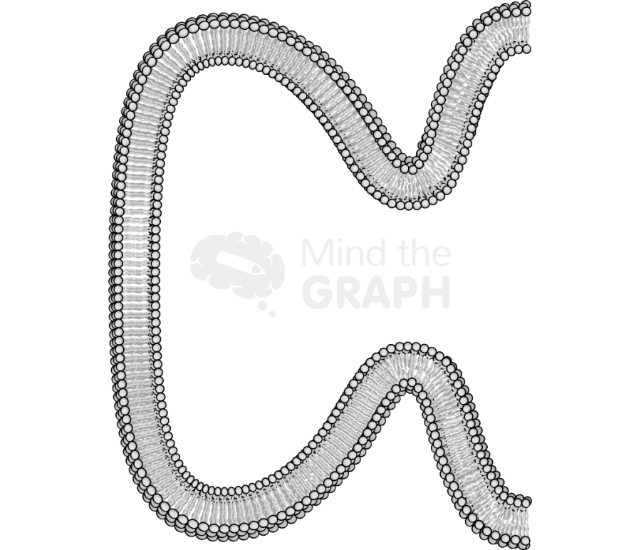 Membrane 7 complex Icons, Symbols, Pictures, and Images